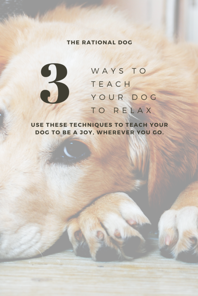 3 Ways to Teach Your Dog to Relax The Rational Dog