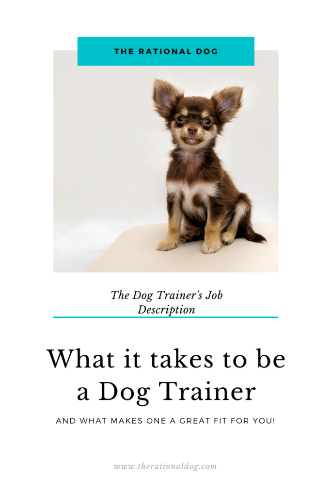 Learn what dog trainers do to be the best at their jobs.