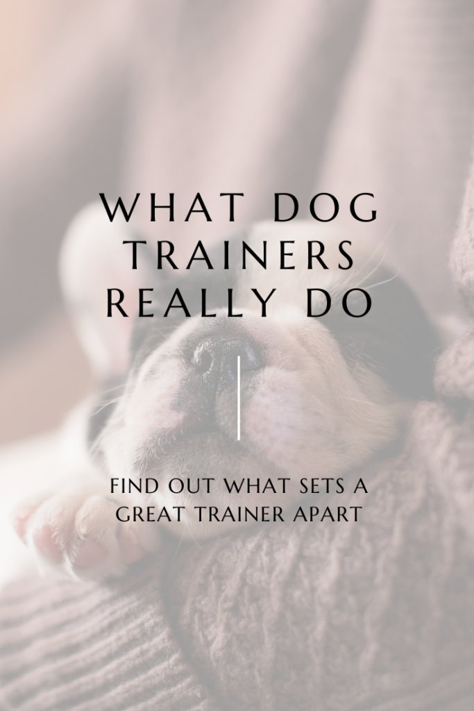 What dog trainers do each day to be the best at their jobs.